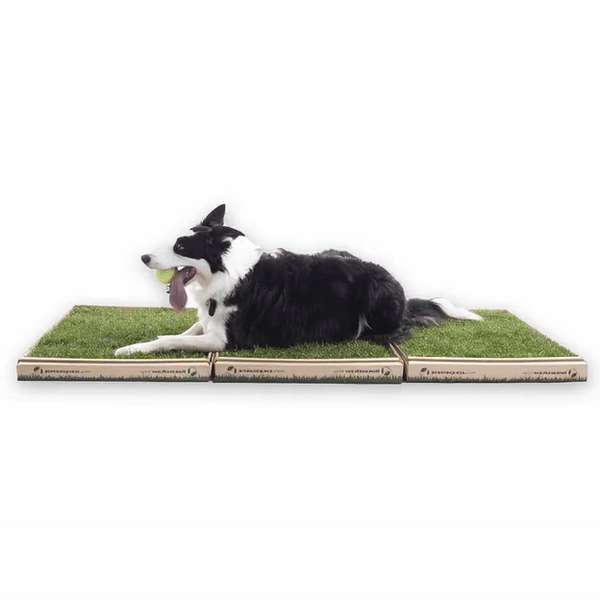 3 Grass Boxes | Large