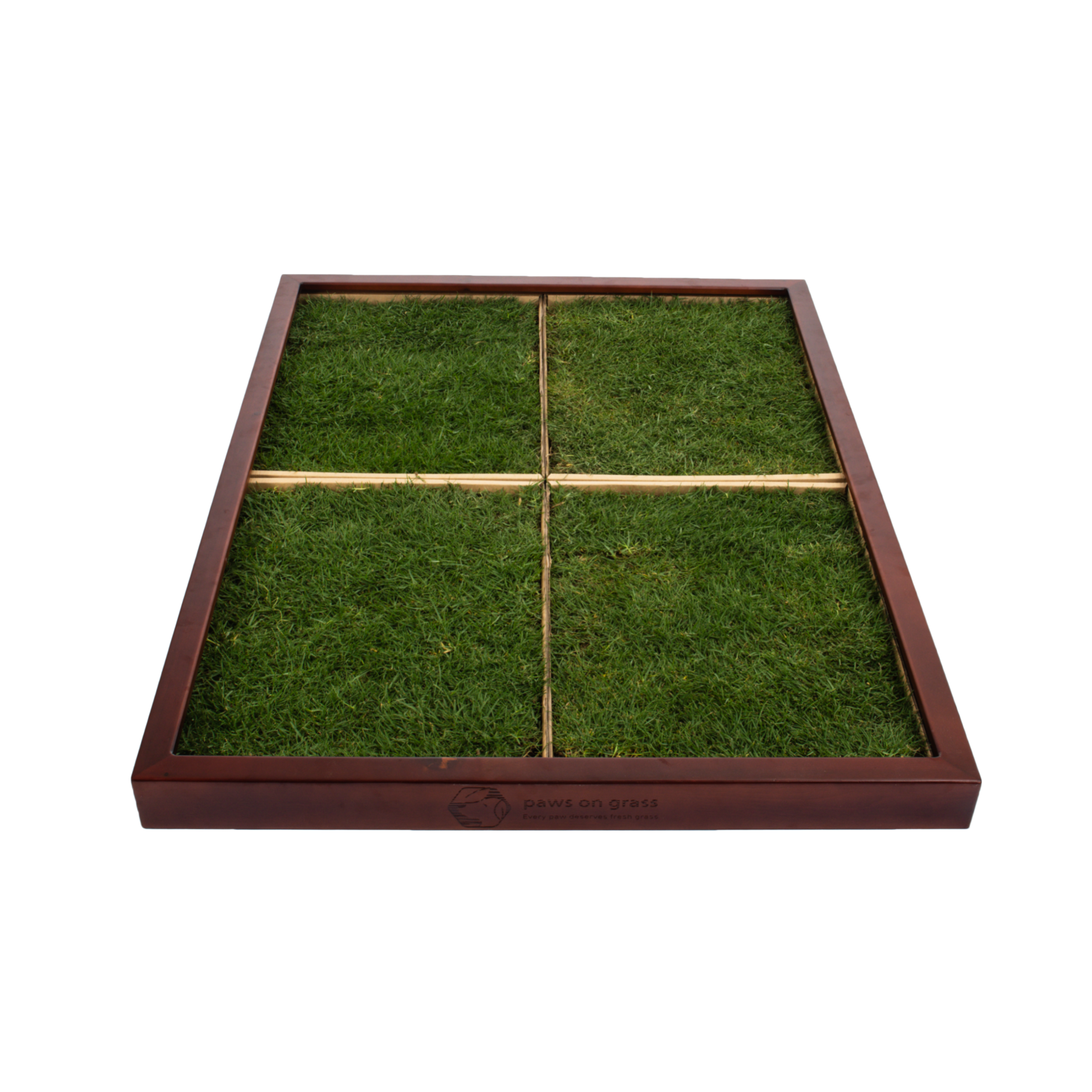 X-Large Frame - Paws on Grass