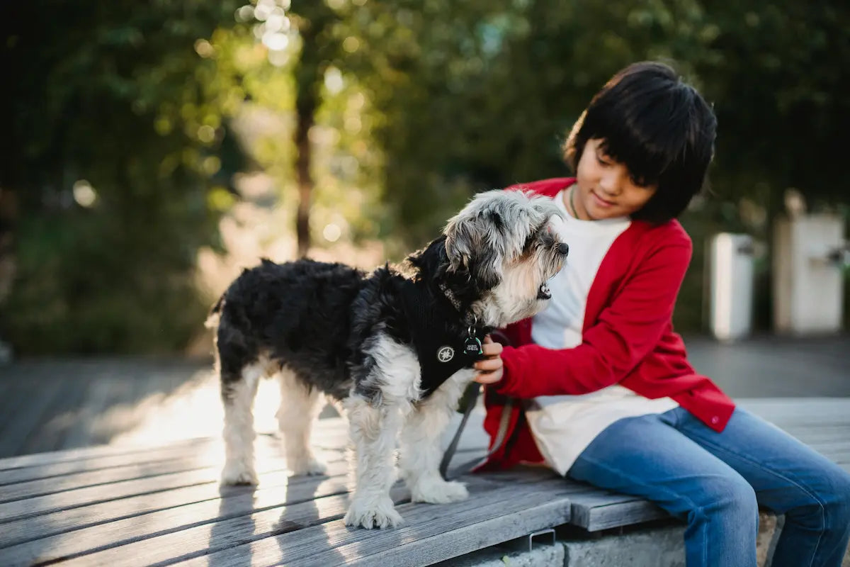 How to Show Your Dog Love (In Ways They Actually Appreciate)