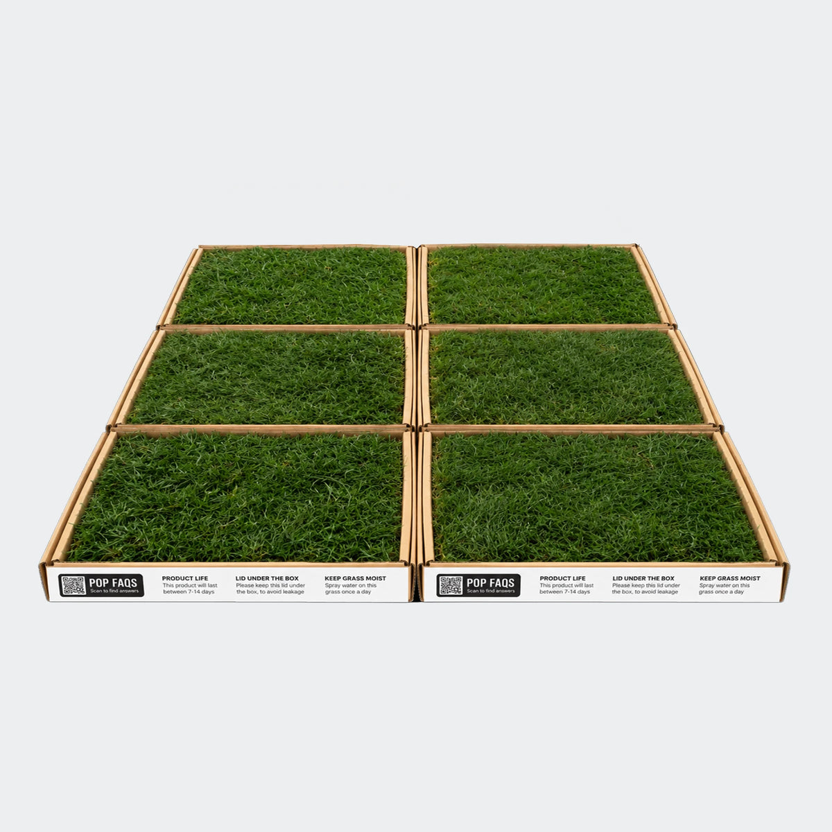 XXL real grass dog toilet, the same six boxes rearranged two wide by three deep, overhead view of pesticide-free UAE-farmed grass