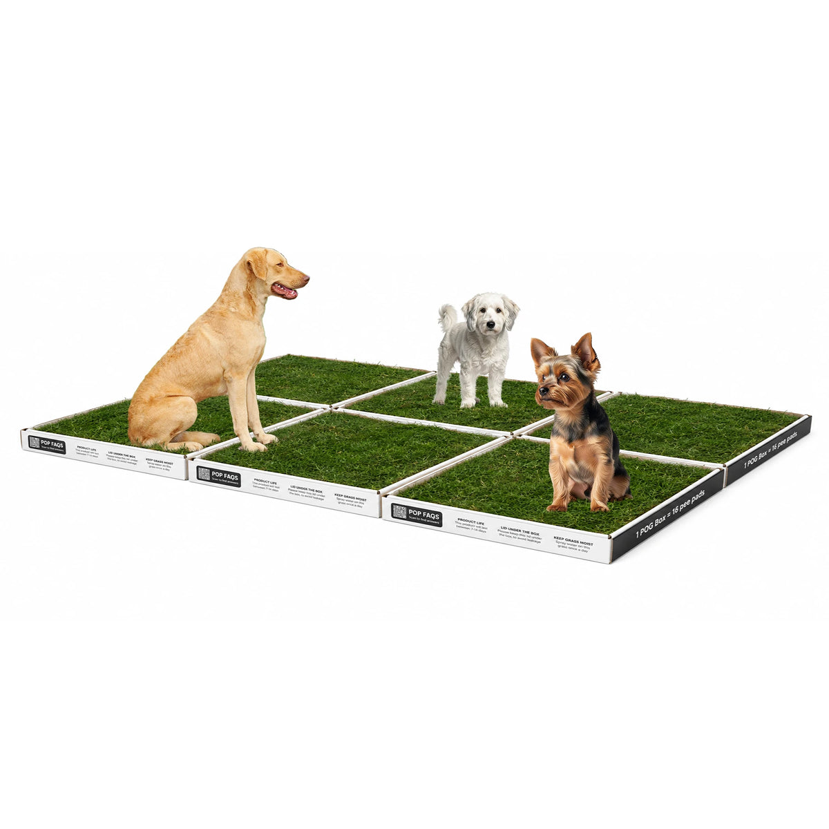 XXL Paws on Pause real grass dog toilet, six grass boxes arranged three wide by two deep at 144 x 120 cm, with a Labrador and two small dogs standing on the fresh grass