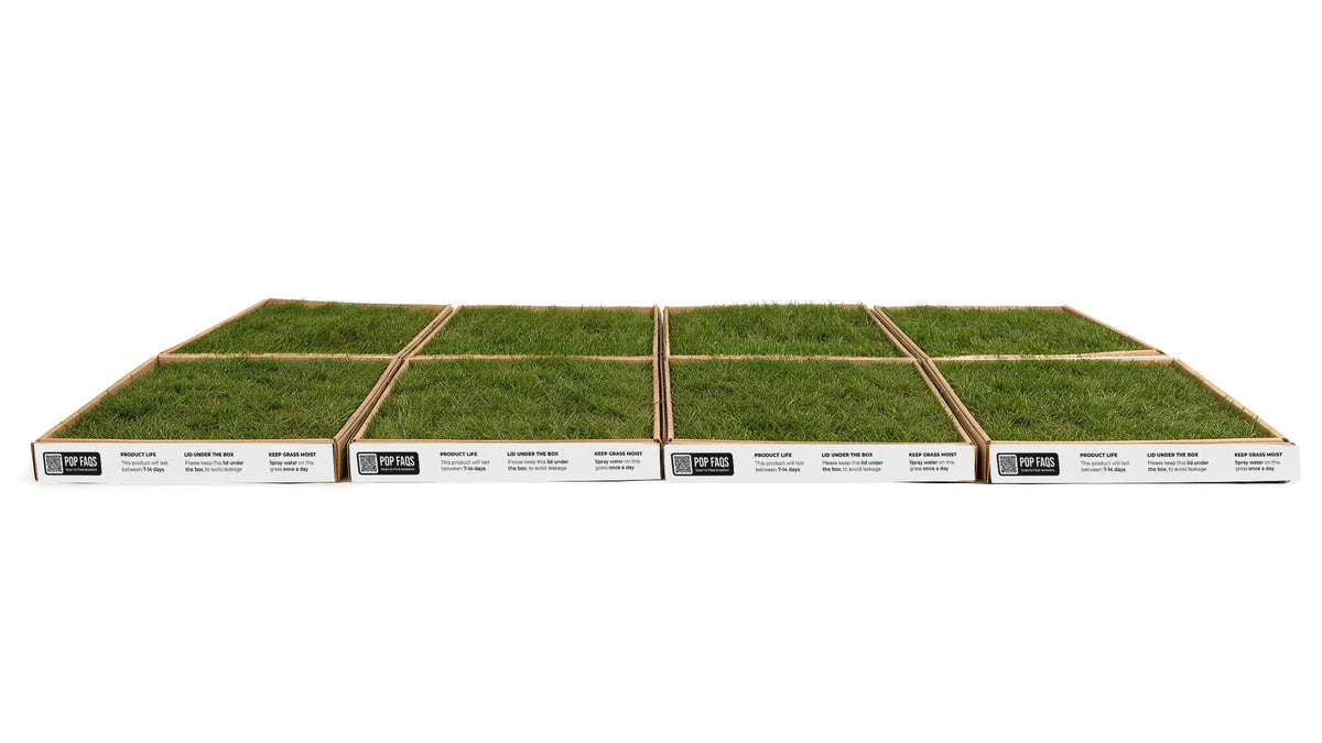 XXXL Paws on Pause real grass dog toilet, eight grass boxes arranged four wide by two deep at 192 x 120 cm, front view
