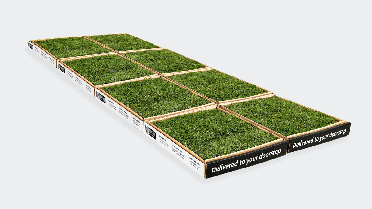 XXXL real grass dog toilet, eight modular grass boxes in a two wide by four deep layout, angled view with delivered to your doorstep branding on the trays