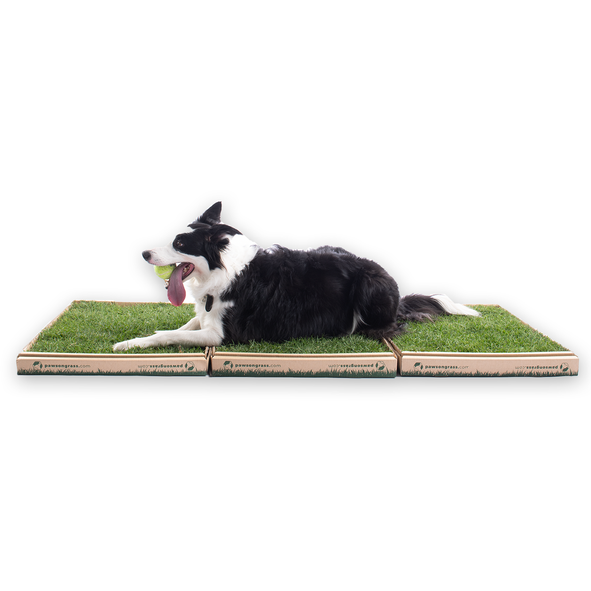 Outdoor top pet potty