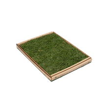 Load image into Gallery viewer, Real Grass Toilet - Paws on Pause
