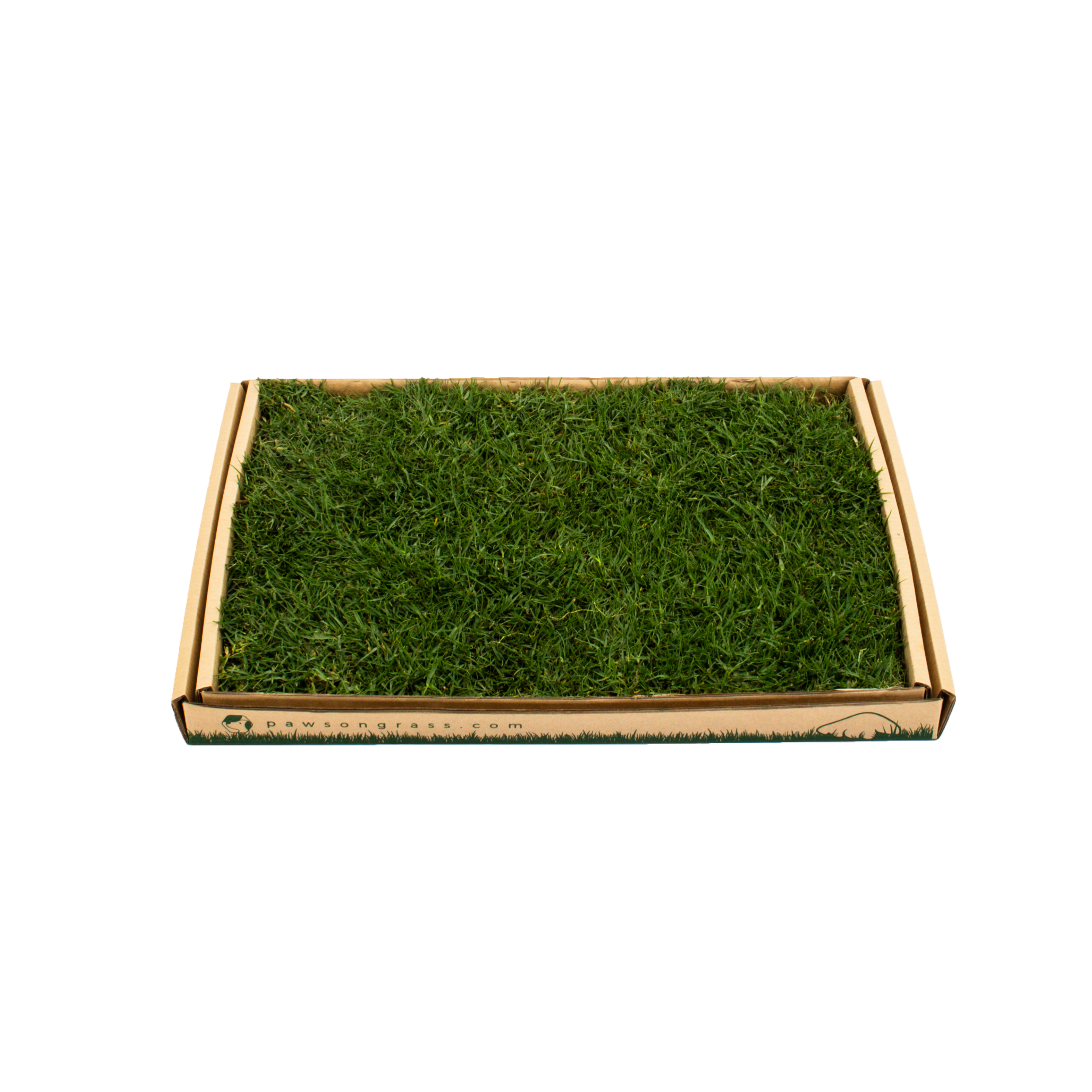 Grass pee shop patch