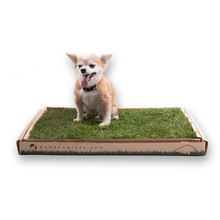 Load image into Gallery viewer, Real Grass Toilet - Paws on Pause
