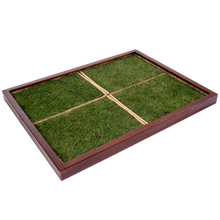 Load image into Gallery viewer, X-Large Frame - Paws on Grass
