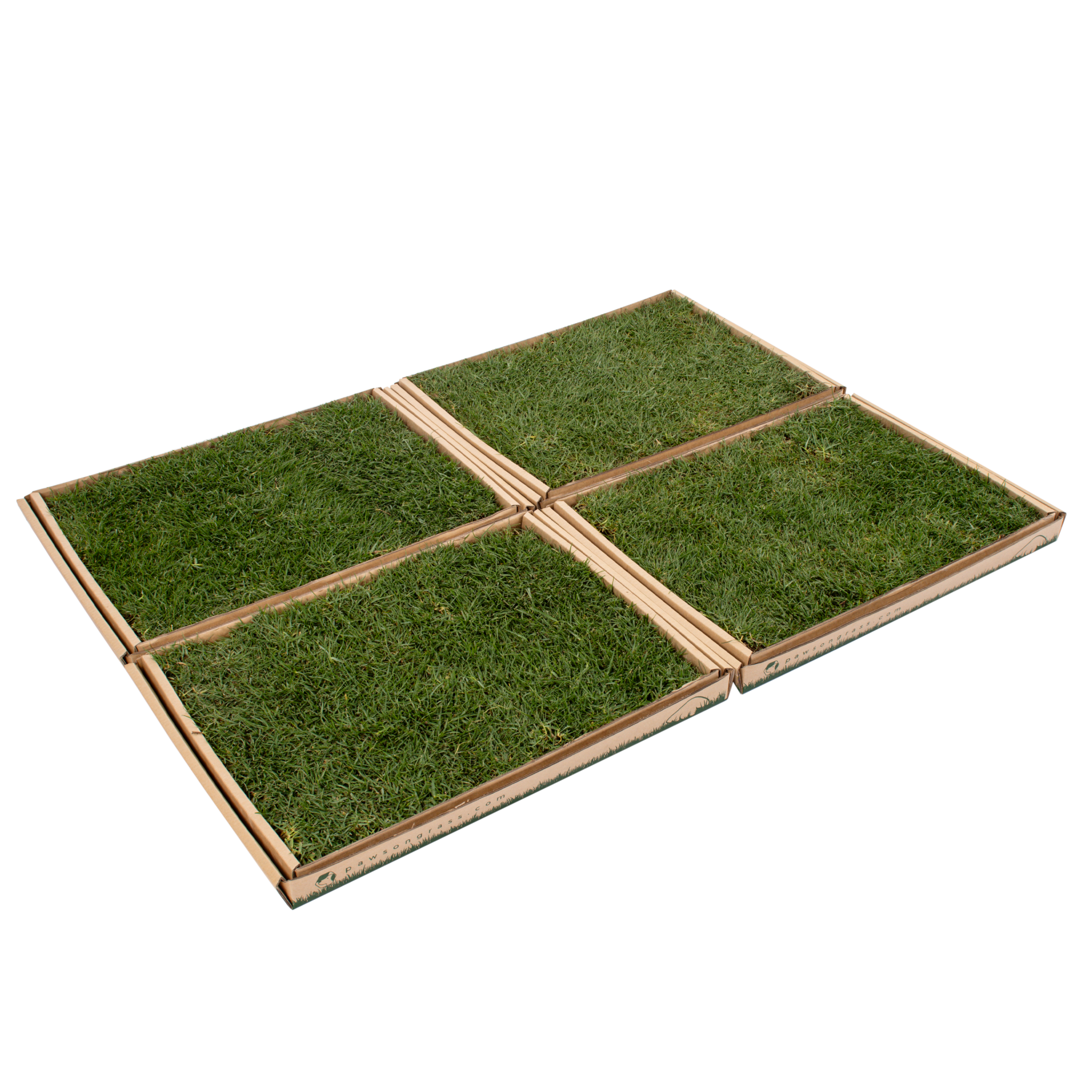 Grass Patch for Extra Large Sized Dogs Real Grass Dog Potty